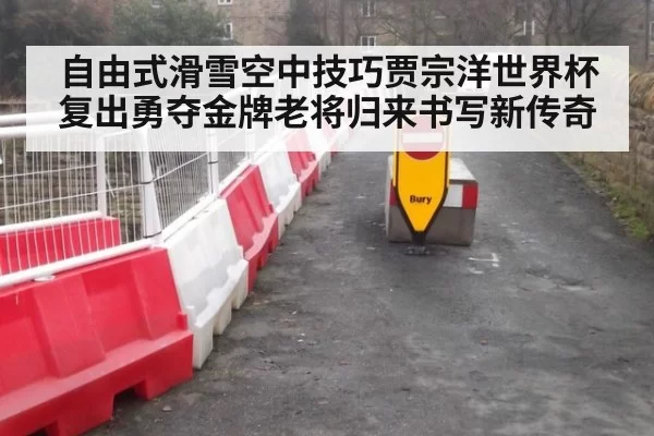 自由式滑雪空中技巧贾宗洋世界杯复出勇夺金牌老将归来书写新传奇